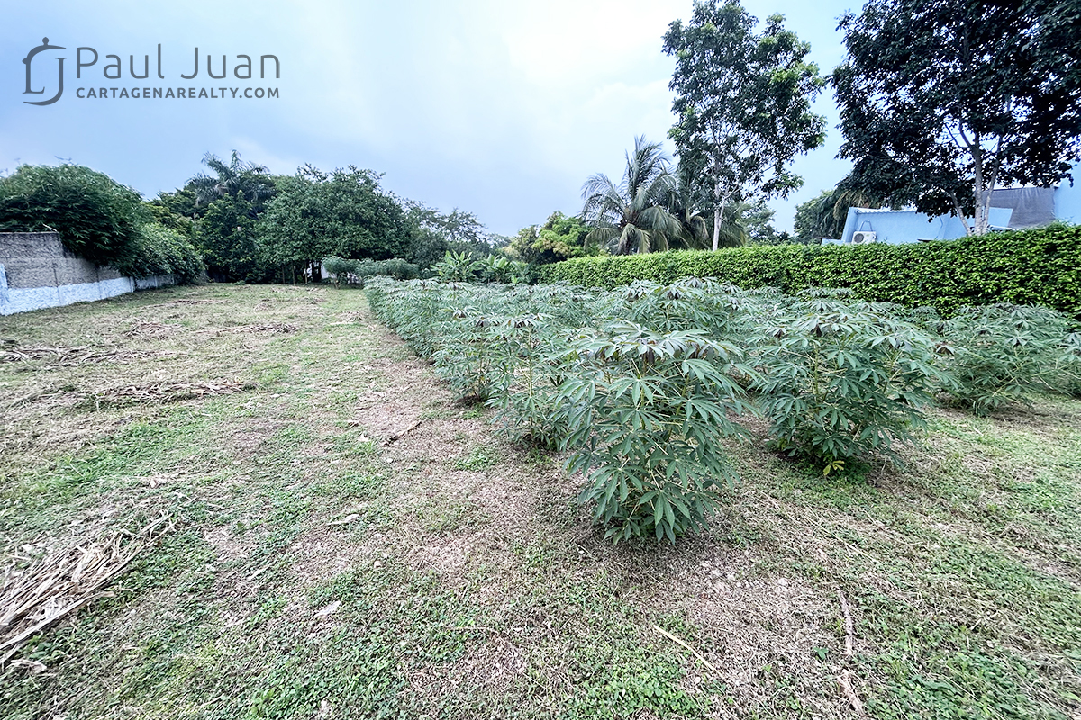 Commercial Property for Sale in Bolivar 131001 Bolivar 131001